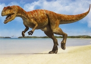 Allosaurus